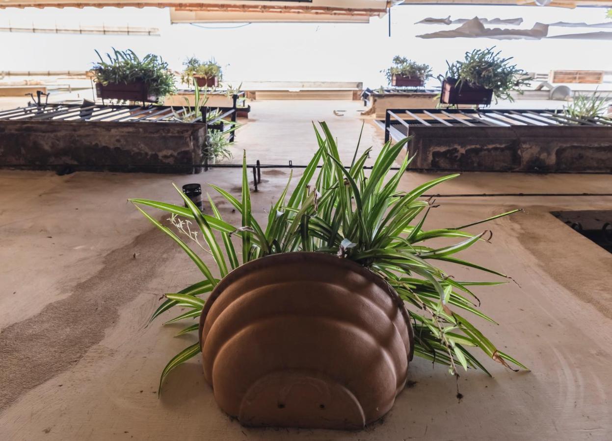 サレルノ La Casa Degli Angeli Bed & Breakfast エクステリア 写真